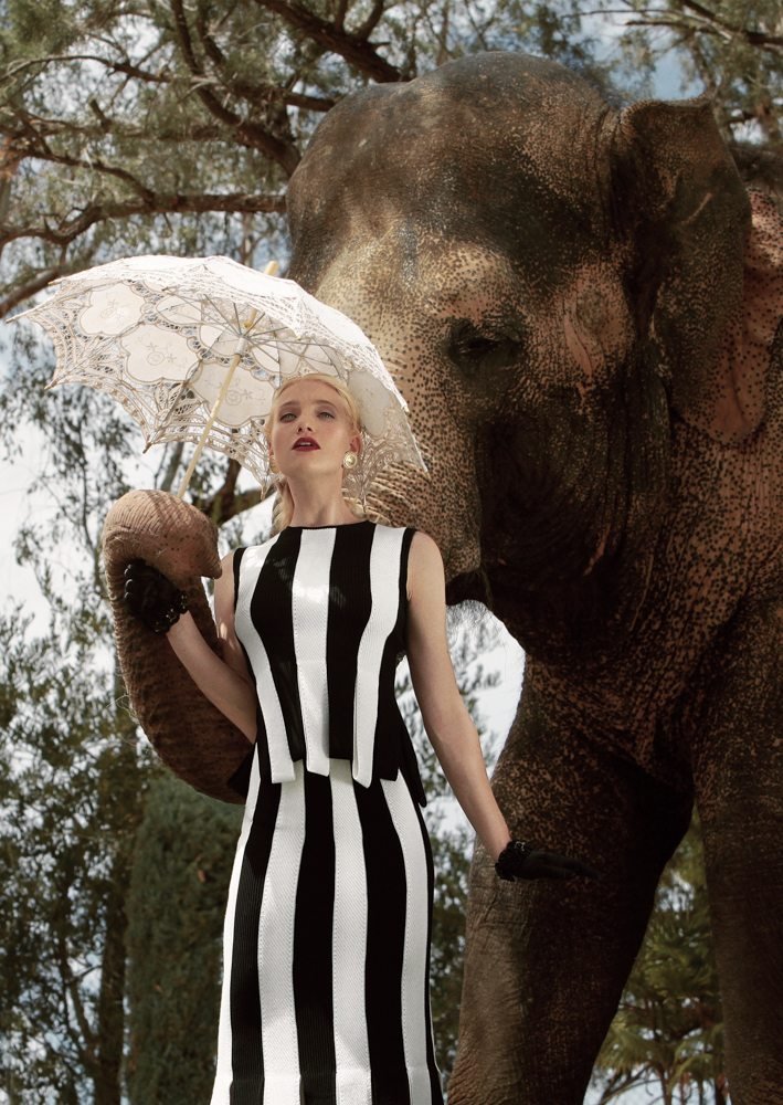 Autumn for the Elephants: Combining Fashion, Conservation