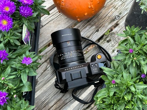 Hasselblad 38mm F2.5 XCD Lens Review