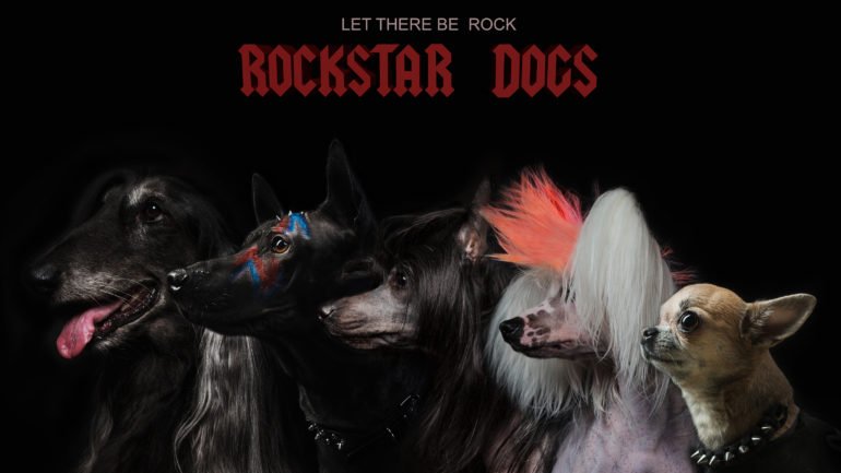 Dogs Love Posing as Rockstars for Angelika Goltyaeva