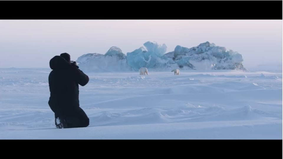 Nat Geo Short Film Shows How to Document Polar Bears in the Wild