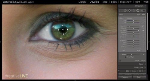 Editing Eyes for Portraits that Pop in Adobe Lightroom - The Phoblographer