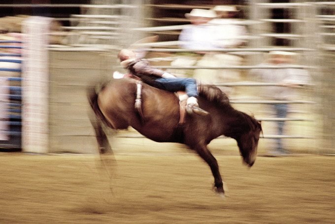 Cowboys Artistically Showcases the Chaos of a Rodeo