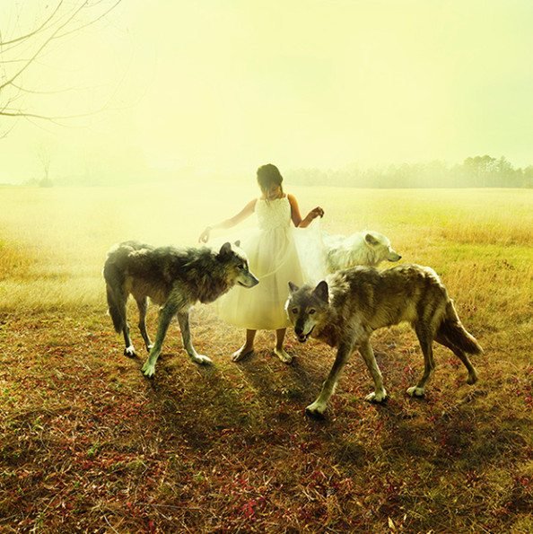 Animal Visions: Tom Chambers' Portraits of Animals and Children