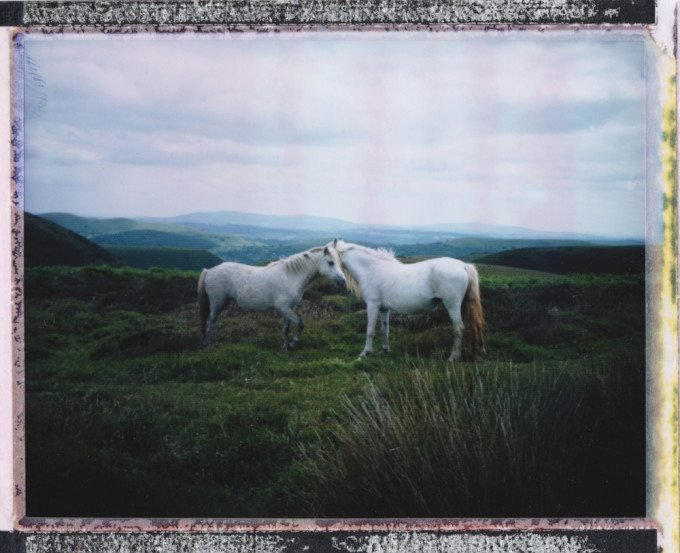 Instant Film: Knowledge from Richard P Lambert