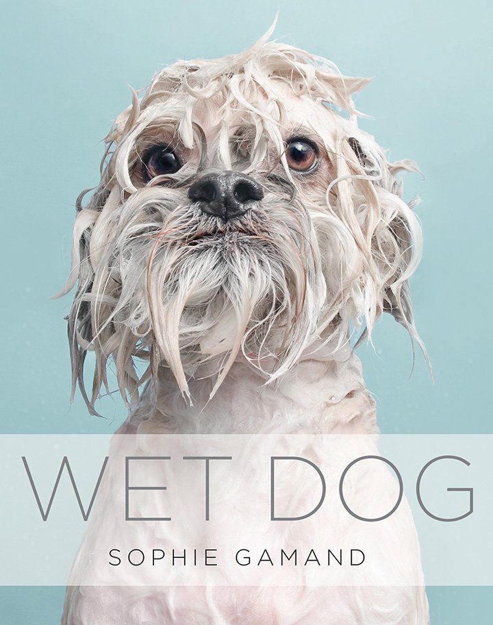 Sophie Gamand's Wet Dogs Can Now Adorn Your Coffee Table