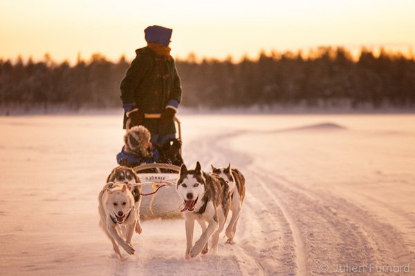 Julien Fumard Documents Life with Sled Dogs in Northern Finland