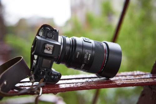 These Canon EF Lenses Would Be Amazing as RF Lenses