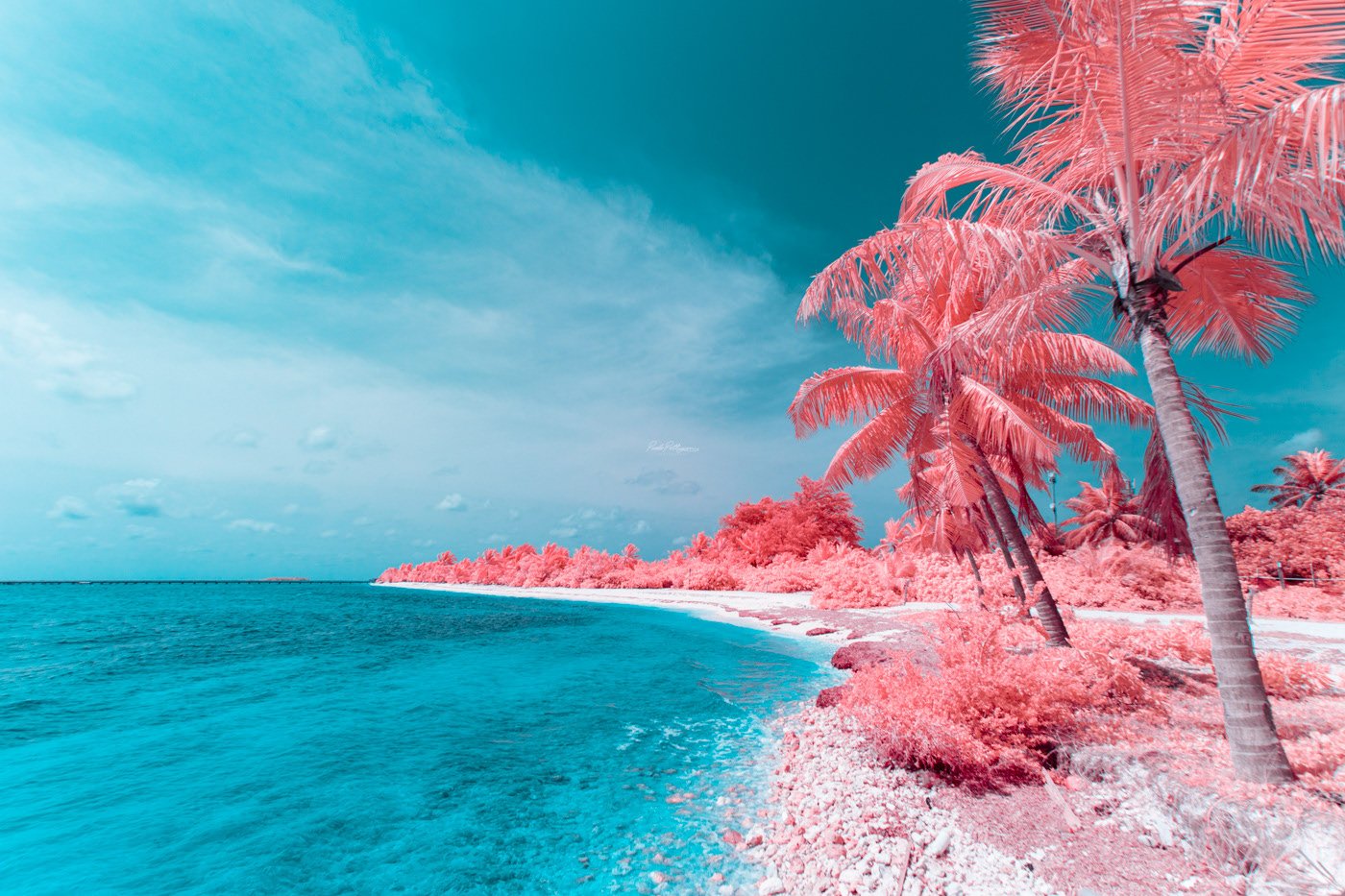 Paolo Pettigiani Reveals More of the Maldives in Surreal Infrared