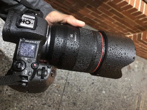 A Closer Look: The Canon RF 50mm f1.2 L vs The Sigma 50mm 1.4 Art