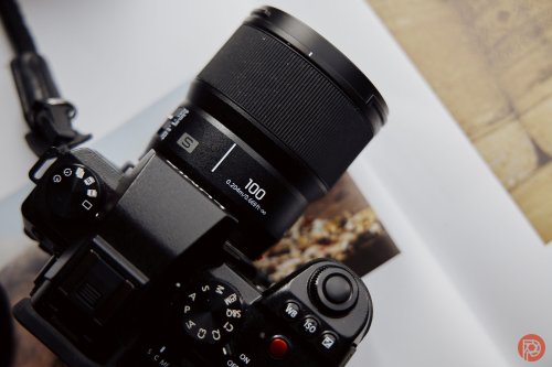 The Best Macro Lenses To Make Your Close Up Photography Easy