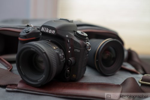 See in the Dark: 8 Affordable Cameras With Great High ISO Performance
