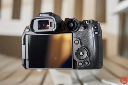 A New Photographer's Guide to the Camera Viewfinder