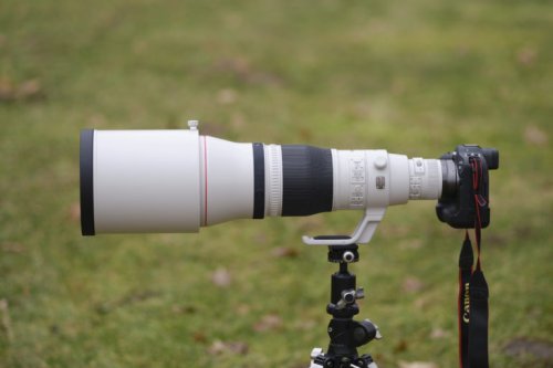 Canon May Release a New Telephoto Lens To Rival Sigma