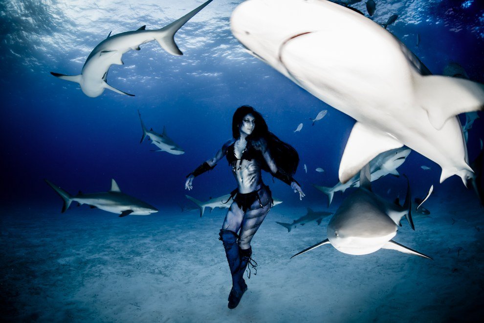 Woman Dances with Tiger Sharks in Conservancy Photo Project - The Phoblographer