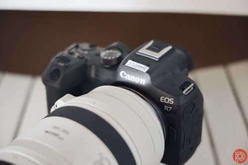 The Best Non Full Frame Cameras for Professional Photographers