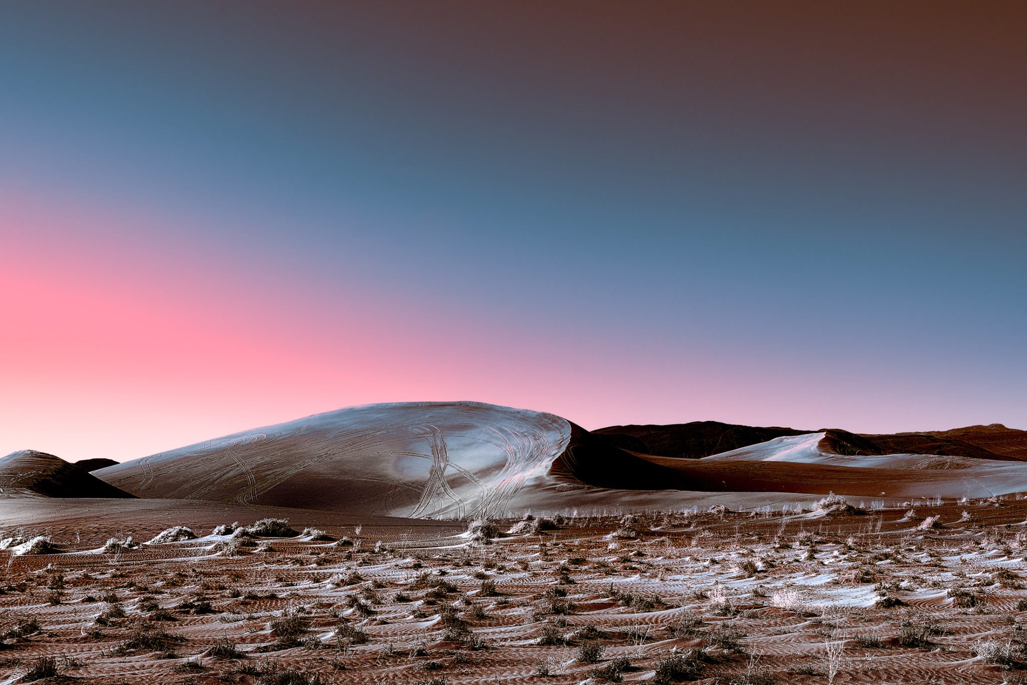 Stefano Gardel's Neon Deserts Look Like an Alien Movie