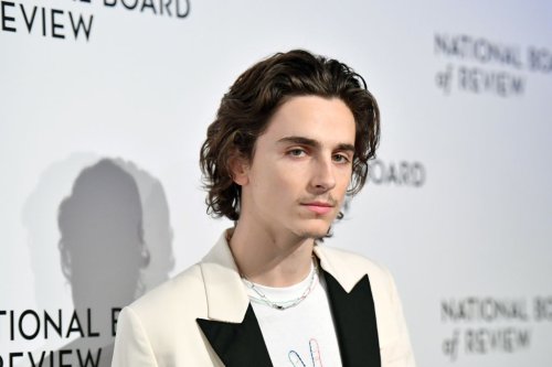 This is why ‘straight prince of twinks’ Timothée Chalamet is hailed as a queer icon
