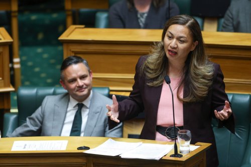 Marama Davidson: NZ minister points out obvious about white cis men, violence and transphobia