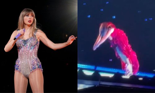 the-eras-tour-taylor-swift-gags-fans-with-incredible-stage-dive-trick