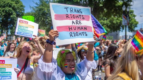 Most Americans agree politicians aren’t informed enough to make trans healthcare policies, survey finds
