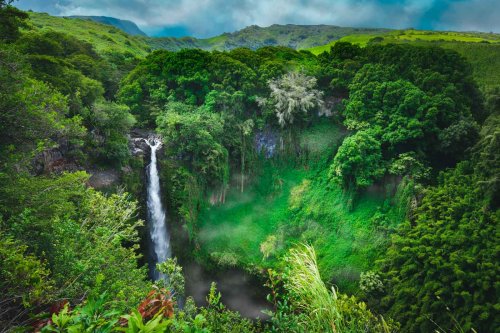 Road To Hana: The Ultimate Day Trip in Maui