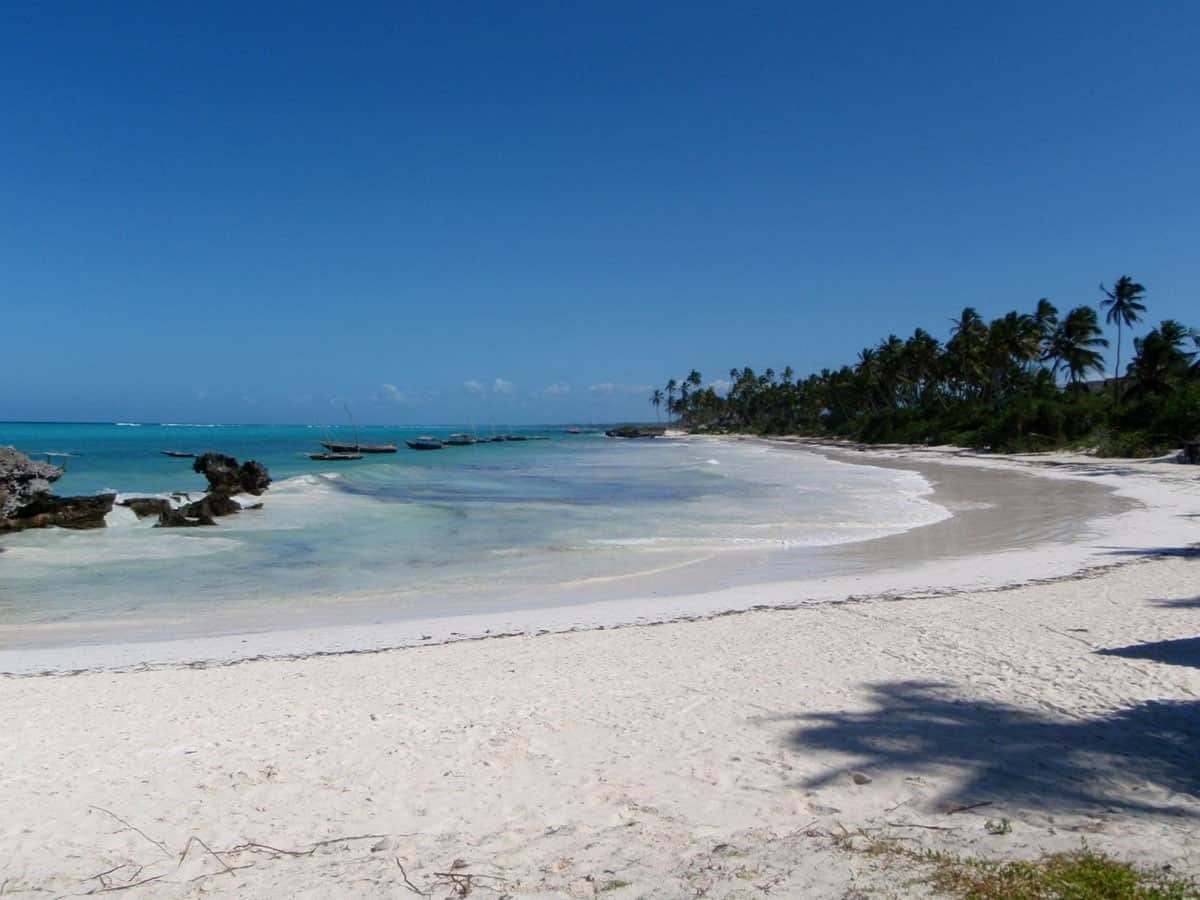 Discover The Best Beaches in Zanzibar