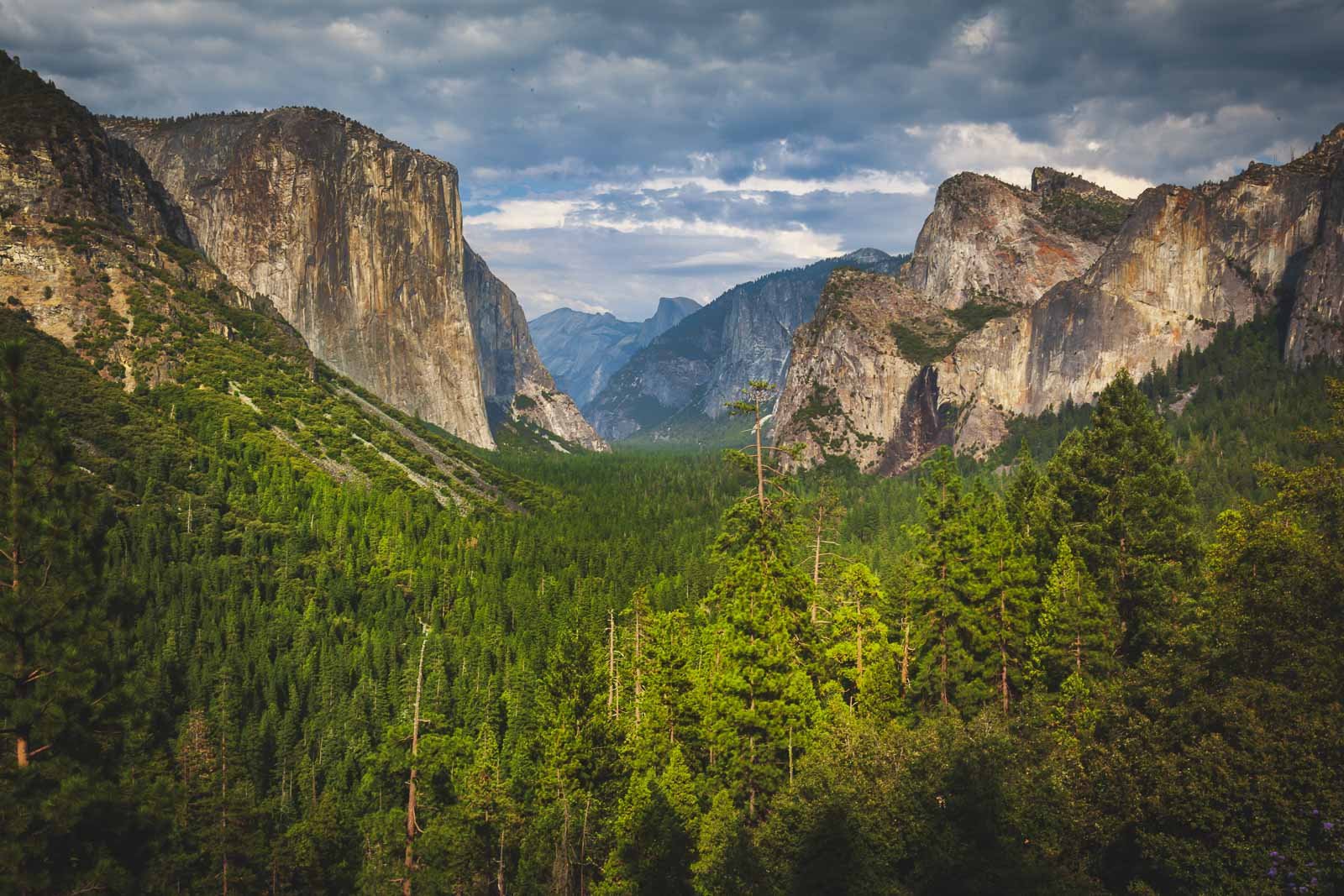 The Best of Yosemite National Park