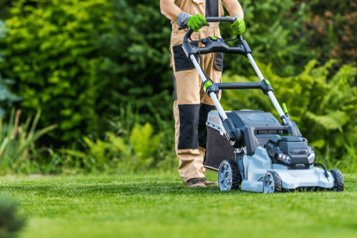 Best Lawn Mower For St. Augustine Grass - The Plant Bible