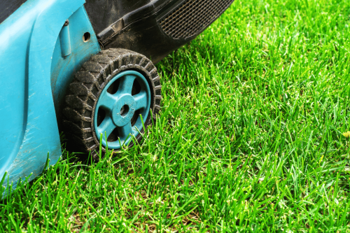 Finding the Best Lawn Mower for Bermuda Grass in 2023