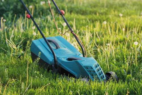 Mow Like a Pro: Choosing the Best Lawn Mowers for Rough Terrain