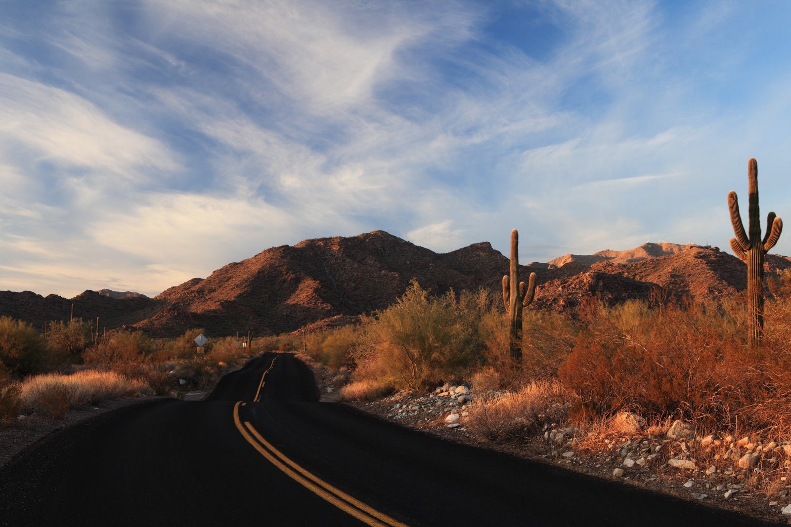 Road tripping from Phoenix? Here are 6 destinations to set your sights on