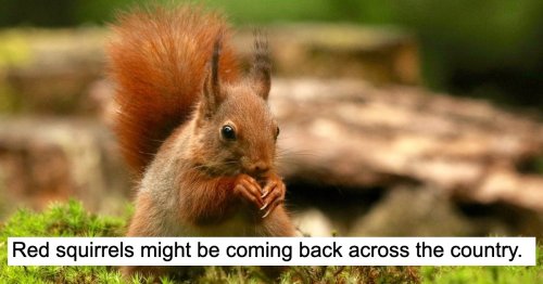 It’s a bit rubbish right now so Brits have been sharing things that are actually getting better as time goes on – 23 reasons to be cheerful