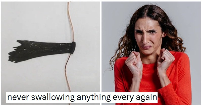 Science
