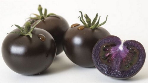 Snapdragon genes, anti-cancer properties — purple tomatoes are a superfruit, 16 yrs in the making