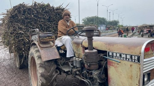 ‘Youth got swayed by BJP in 2017’, say many Jats in west UP's sugarcane belt, RLD gains ground