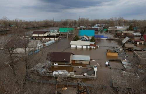 'We're like Noah's ark' says animal shelter in flooded Russian city