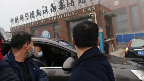 Why the suspicion on China's Wuhan lab virus is growing. Read these new analyses