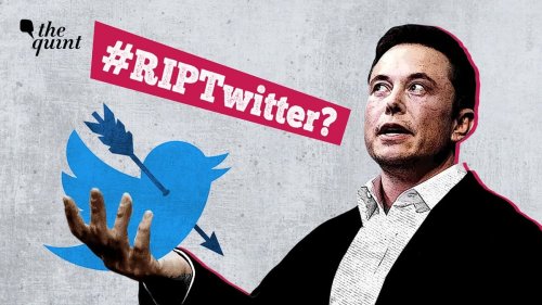 how to rip video from twitter how to rip video from twitter