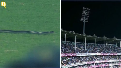 IND-SA: मैदान में सांप,स्टेडियम की बत्ती गुल, सूर्या बने 'नटराज'-मैच के 10 Photo