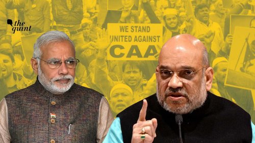 'Beacon of Hope' or 'Discriminatory'? Why Indians Abroad Are Divided Over CAA