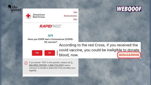Red Cross Does Not Consider COVID-19 Jab Receivers Ineligible for Blood Donation