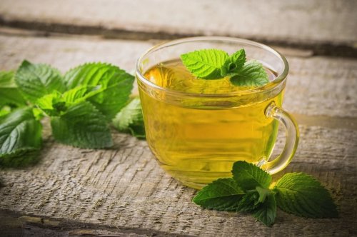 Green Tea Benefits: ग्रीन टी पीने का सही समय, मात्रा व फायदा-नुकसान