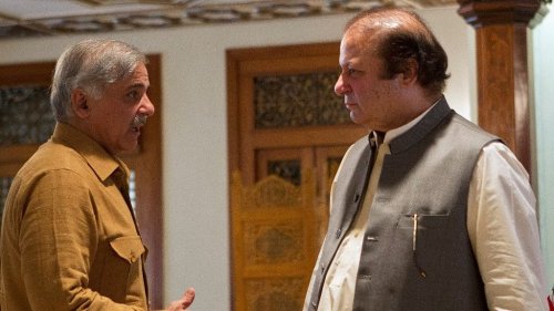 Pakistan's Brothers Sharif and the Curious Case of a Confused Cat Family