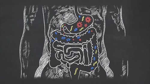Unhealthy Gut Can Lead To Spread Of Breast Cancer Says A Study Flipboard