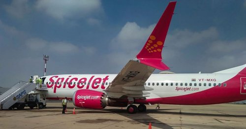 spicejet moneycontrol