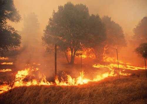 California announces changes to home insurance market to address wildfire coverage
