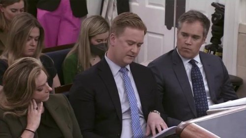 Fox News’ Peter Doocy uses all his time at the White House press briefing to ask about artificial intelligence.