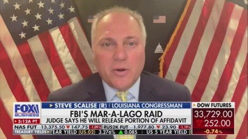 Min. Whip Scalise claims the DoJ fighting to keep most of the Mar-a-Lago affidavit sealed should “tell you something.”