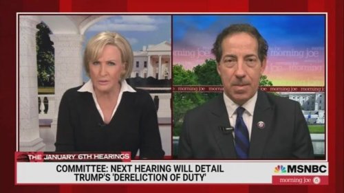 raskin jamie raskin jamie