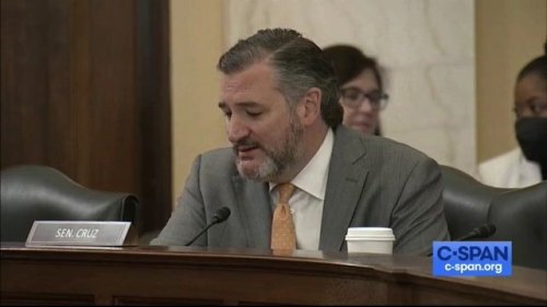 Sen. Ted Cruz (R-TX) claims Democrats' hypocrisy on election integrity is “truly stunning.”